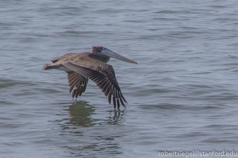class at bight beach